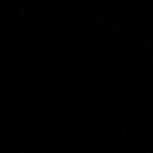 Meet your Posher, Aimy